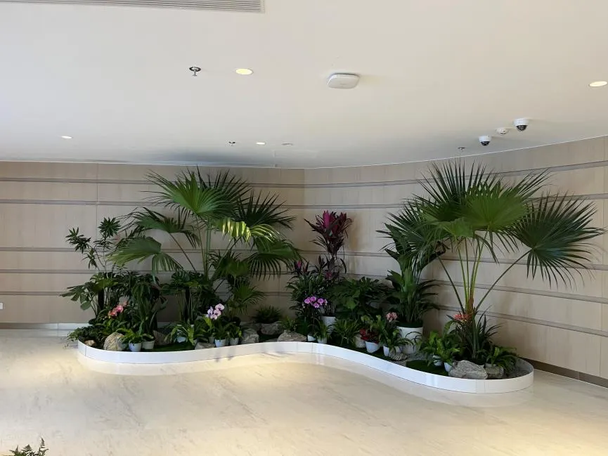 鄞州绿化修剪专业，打造城市绿色风景线